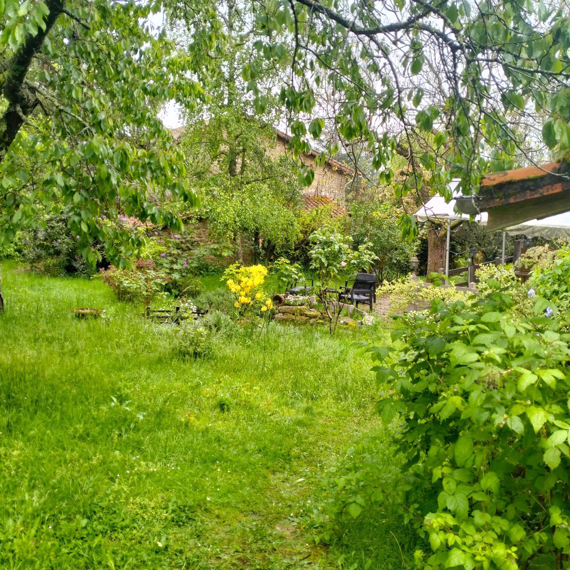 Chambres D'Hotes D'Antardieu Saint-Junien Eksteriør bilde